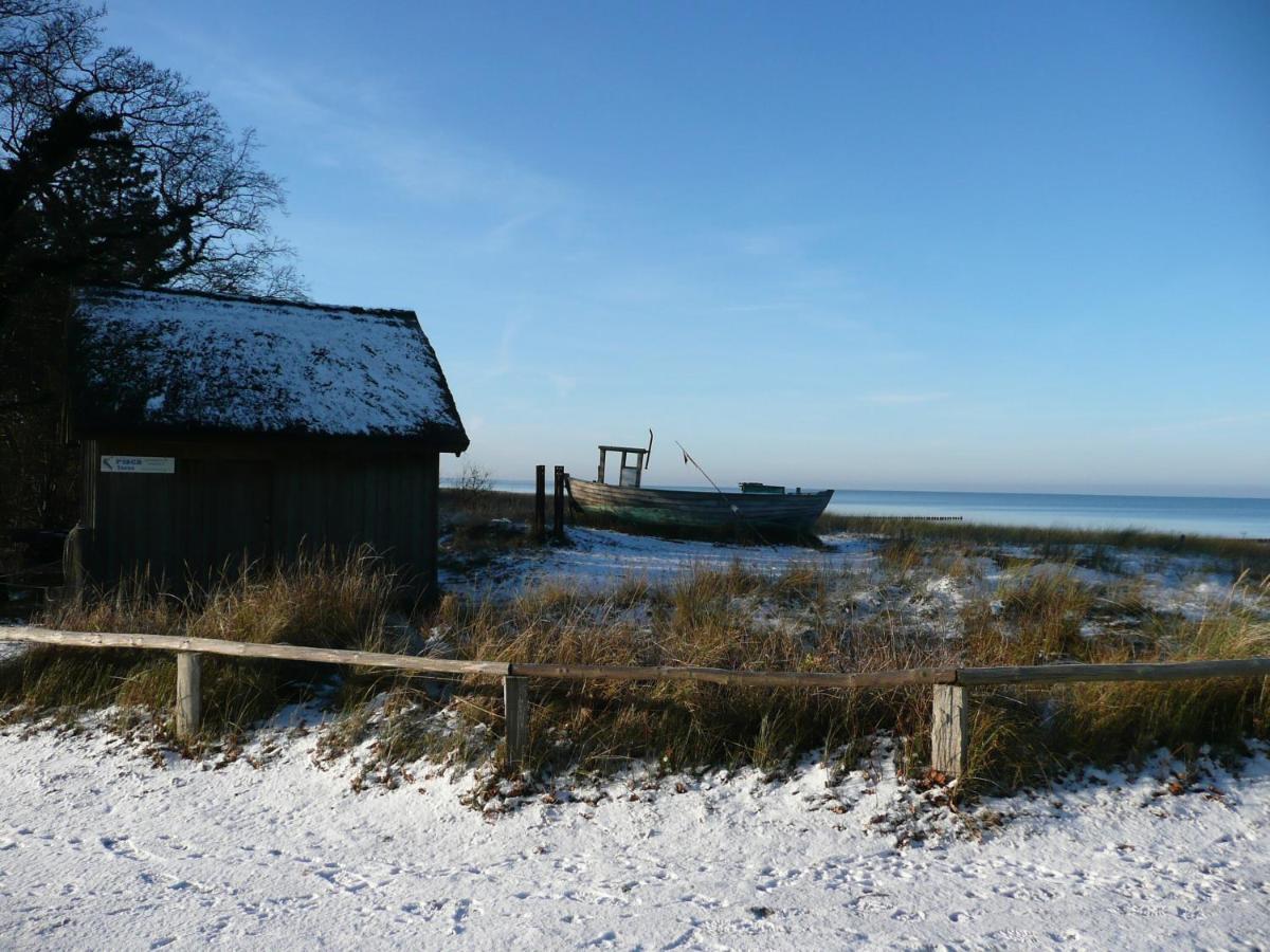 Residenz Am Strand Wohnung 2-36 Zingst Zewnętrze zdjęcie